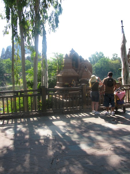 Animal Kingdom 010.jpg